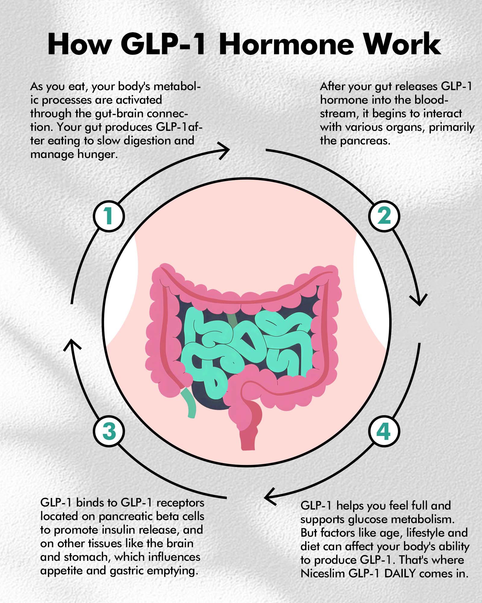 Niceslim GLP-1 Probiotic Activate Supplement: GlucoVantage Dihydrober Niceslim GLP-1 Probiotic Activate Supplement: GlucoVantage Dihydrober